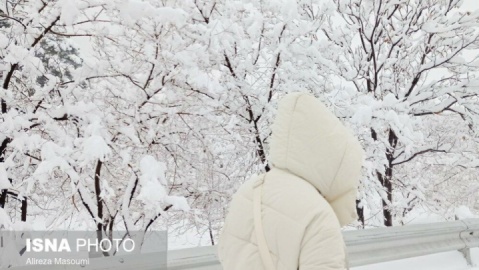 گزارش تصویری / بارش شدید برف - مشهد