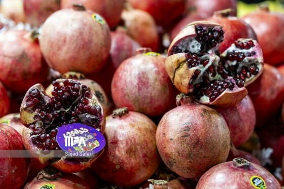 عکس: سجاد صفری