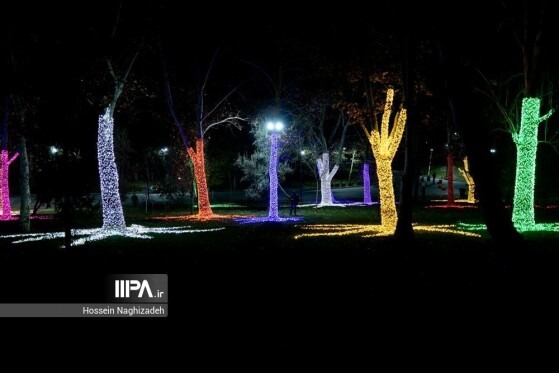 عکس: حسین نقی زاده