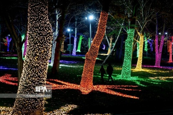 عکس: حسین نقی زاده