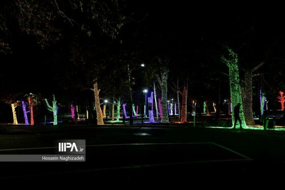 عکس: حسین نقی زاده