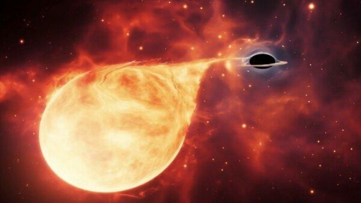سیاهچاله‌هایی که ستاره‌ها را خرد می‌کنند