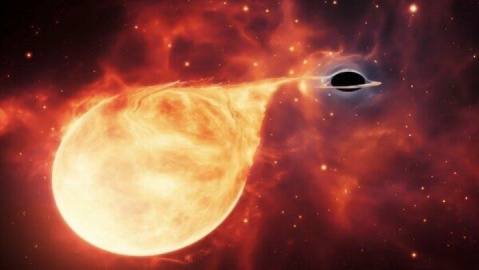 سیاهچاله‌هایی که ستاره‌ها را خرد می‌کنند