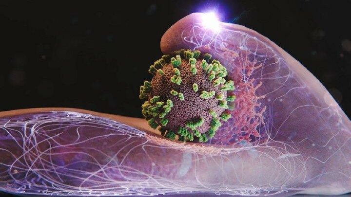 مهار موج شدید آنفلوآنزا در کشور تا اواسط هفته