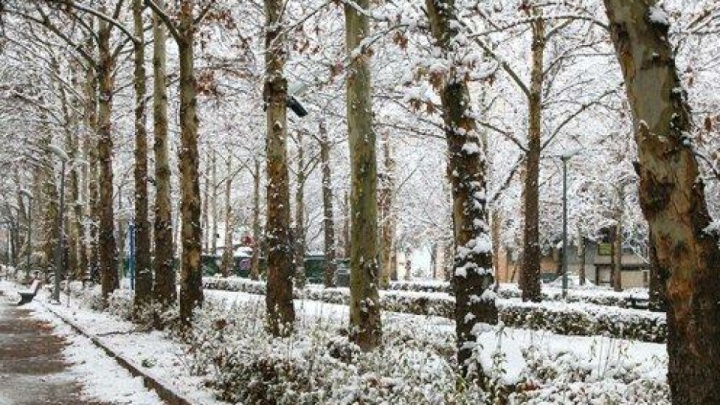 آخرین موج بارشی در ایران/ برف و باران در ۵ استان، هشدار برای بوشهر و تهران