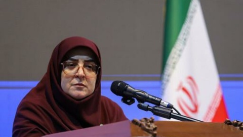 سخنگوی دولت: در حوزه ناترازی آب چشم امید دولت به دانشگاه‌ها است