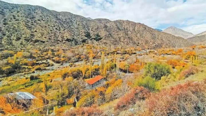 از نخل تا یخ؛ دلفارد، نگین سبز کویر کرمان