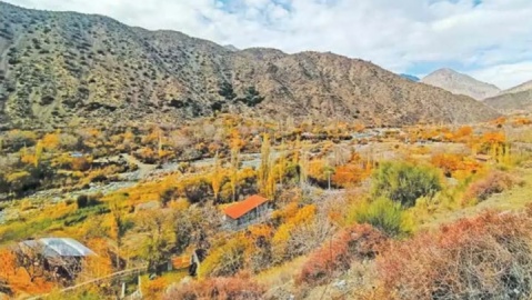 از نخل تا یخ؛ دلفارد، نگین سبز کویر کرمان