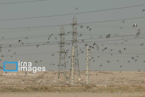 پایتخت زیر ابری از دود