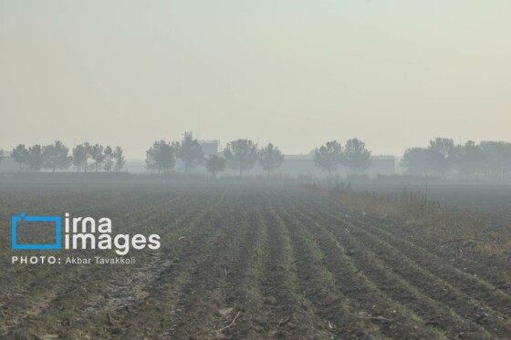 پایتخت زیر ابری از دود