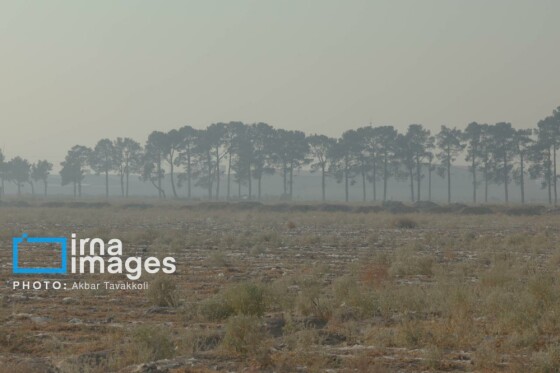 پایتخت زیر ابری از دود