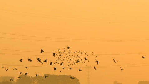 گزارش تصویری/ پایتخت زیر ابری از دود