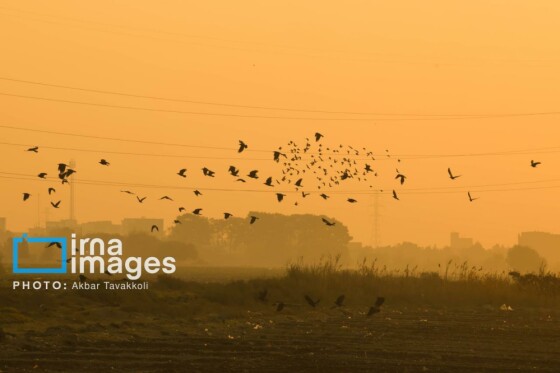 پایتخت زیر ابری از دود