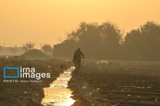 پایتخت زیر ابری از دود