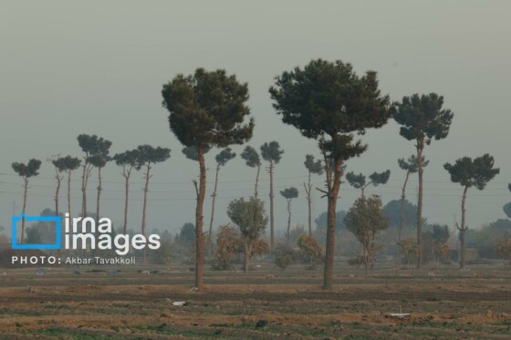 پایتخت زیر ابری از دود