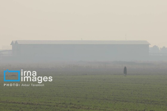 پایتخت زیر ابری از دود