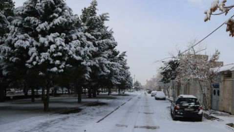گزارش تصویری / بارش برف در شهر زنجان