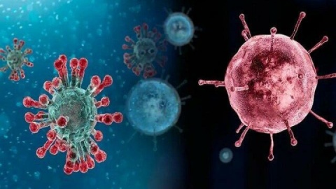 ۱۲ استان همچنان درگیر پیک آنفلوآنزا