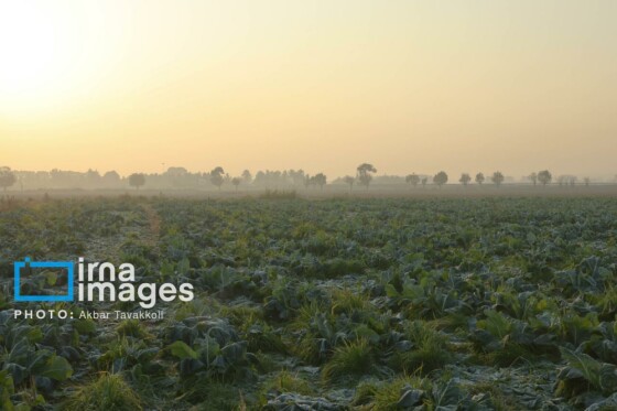 پایتخت زیر ابری از دود