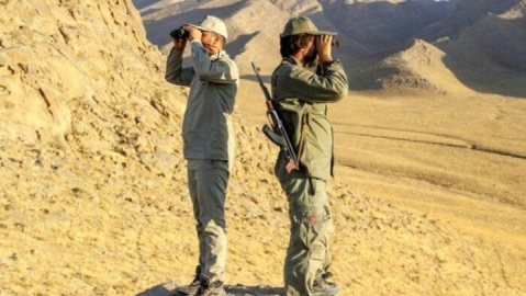 دو محیط بان در درگیری مسلحانه با شکارچیان زخمی شدند