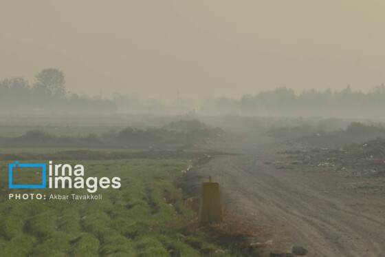 پایتخت زیر ابری از دود