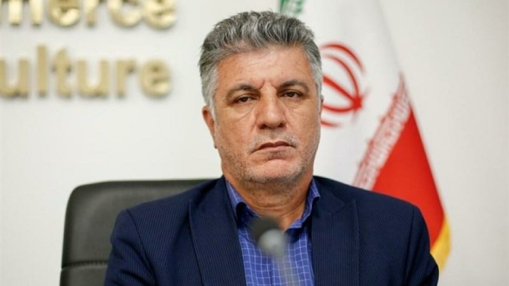 حمایت دولت؛ ستون احیای کشت پنبه