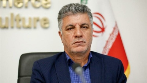 حمایت دولت؛ ستون احیای کشت پنبه