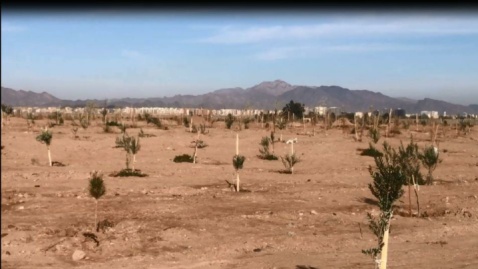 عملیات اجرایی فاز دوم بزرگترین پارک جنگلی جنوب شرق کشور در زاهدان آغاز شد