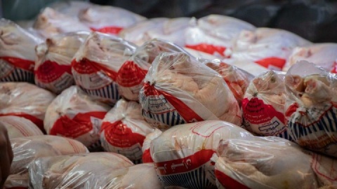 مرغ منجمد در تهران چند؟ سه قیمت متفاوت برای تنظیم بازار