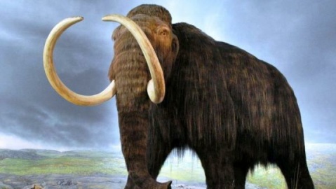 ماموت‌هایی که نهنگ شدند