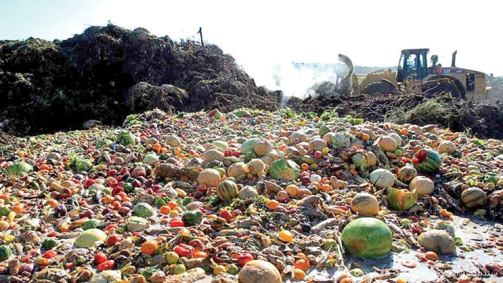 ضایعات، متهم خاموش هدر رفت آب کشاورزی