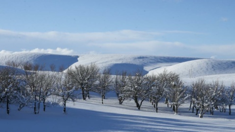 گزارش تصویری / برف و کولاک در کردستان