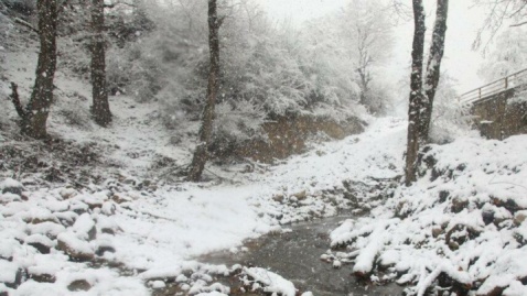گزارش تصویری / بارش برف زمستانی سوادکوه - مازندران