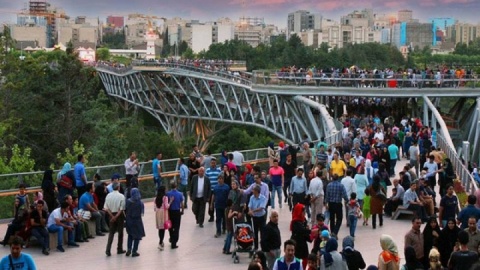 همبستگی ارگانیک در پایتخت