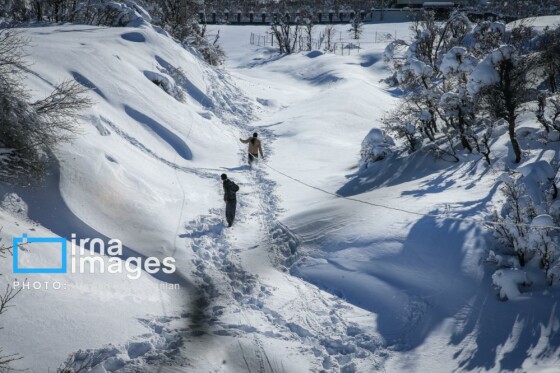 همکاری نیروهای مردمی و صنعت برق در رفع خاموشی روستاهای برفی بانه و سقز