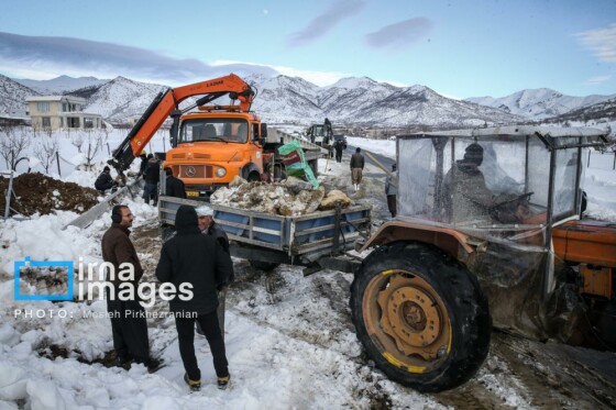 همکاری نیروهای مردمی و صنعت برق در رفع خاموشی روستاهای برفی بانه و سقز