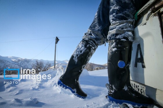 همکاری نیروهای مردمی و صنعت برق در رفع خاموشی روستاهای برفی بانه و سقز