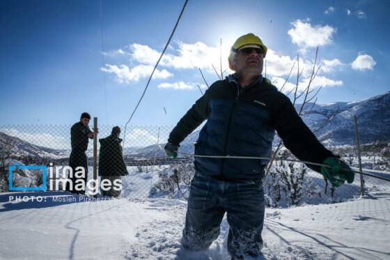 همکاری نیروهای مردمی و صنعت برق در رفع خاموشی روستاهای برفی بانه و سقز
