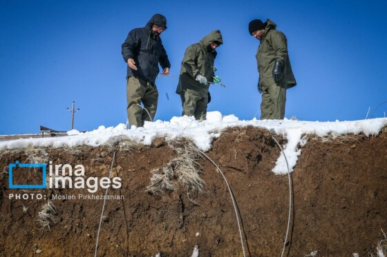 همکاری نیروهای مردمی و صنعت برق در رفع خاموشی روستاهای برفی بانه و سقز