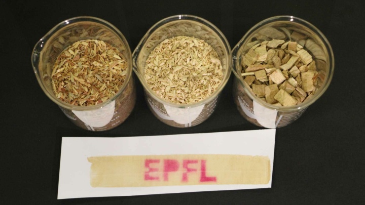 چوب‌هایی که جایگزین رسیدهای کاغذی می‌شوند