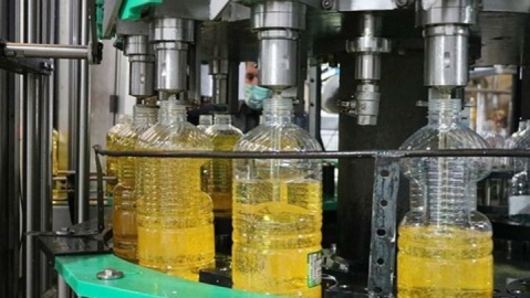 آغاز توزیع گسترده روغن در بازار از فردا