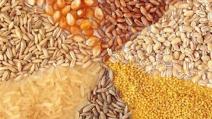 نهاده‌های فروخته‌شده گران نمی‌شود