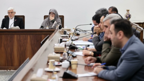 گزارش تصویری/ جلسه ستاد ملی هماهنگی و مدیریت تالاب‌های کشور