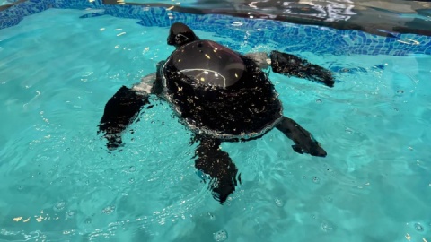 دنیای فناوری در قاب یک نمایشگاه