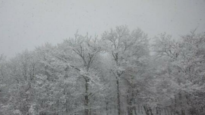 سازمان هواشناسی هشدار زرد رنگ صادر کرد