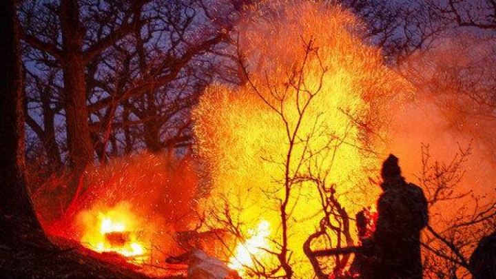 آتش‌سوزی در ۶۰ هکتار از جنگل های گیلان / نیروهای بومی به کمک بیایند