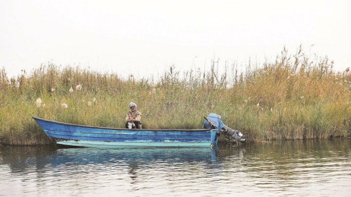 سهم جوامع محلی از تالاب شادگان چیست؟