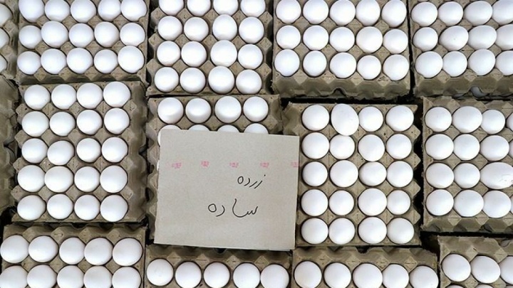 قیمت تخم مرغ کاهش یافت