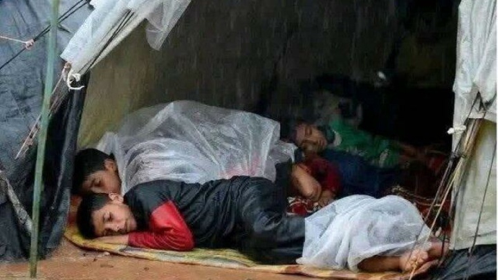 جامعه جهانی در غزه شکست خورد