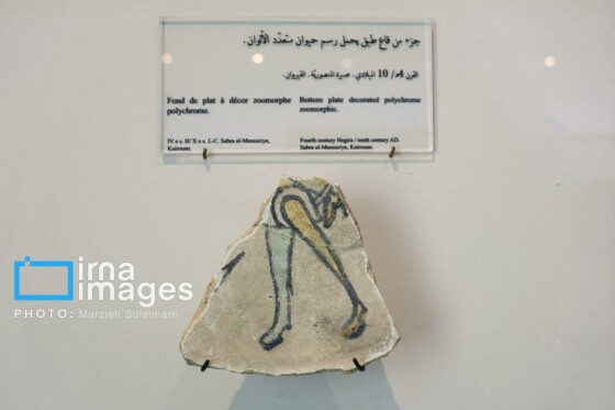 موزه ملی باردو در تونس